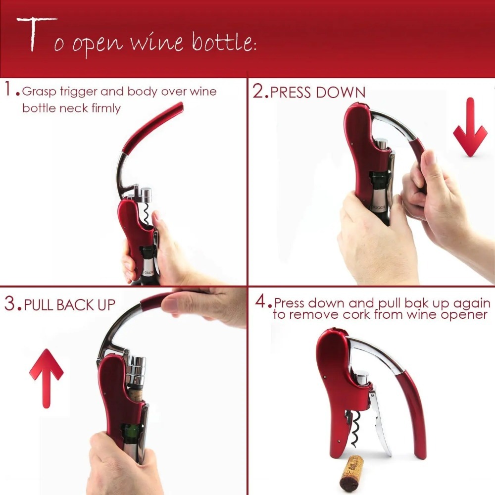 Professional Stainless Steel W - مراجعة Wine In Beer Bottle وسعره